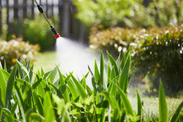 24/7 Emergency Cockroach Control experts in Parklawn, CA